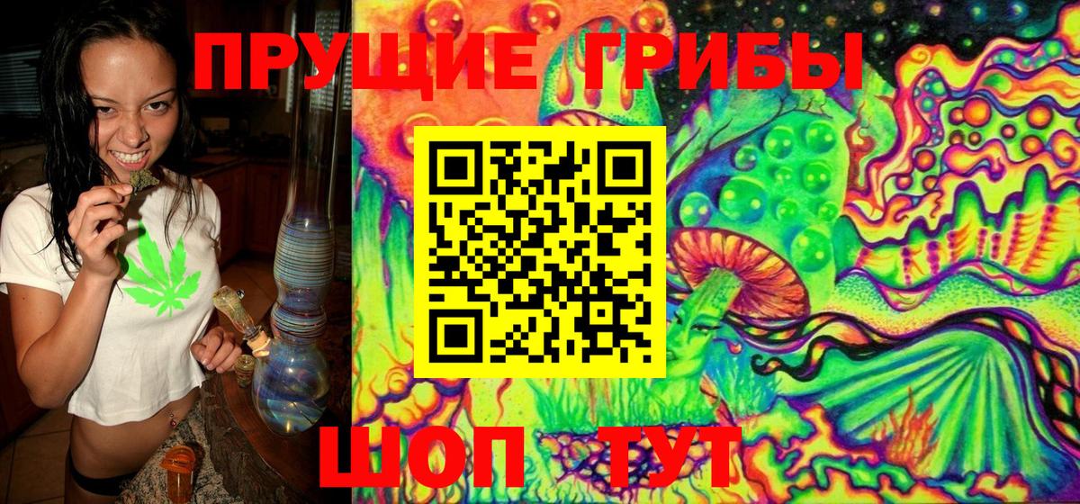 Галлюциногенные грибы Psilocybe Протвино