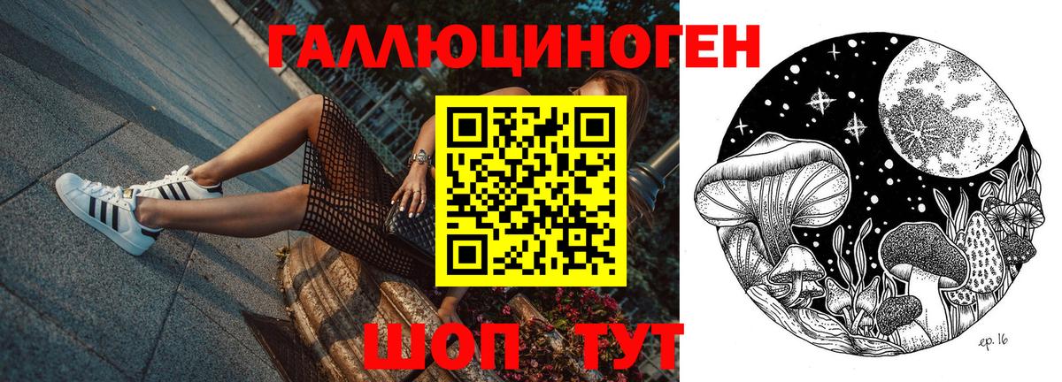 Галлюциногенные грибы прущие грибы  Псилоцибиновые грибы мицелий  Протвино  Вход с VPN 