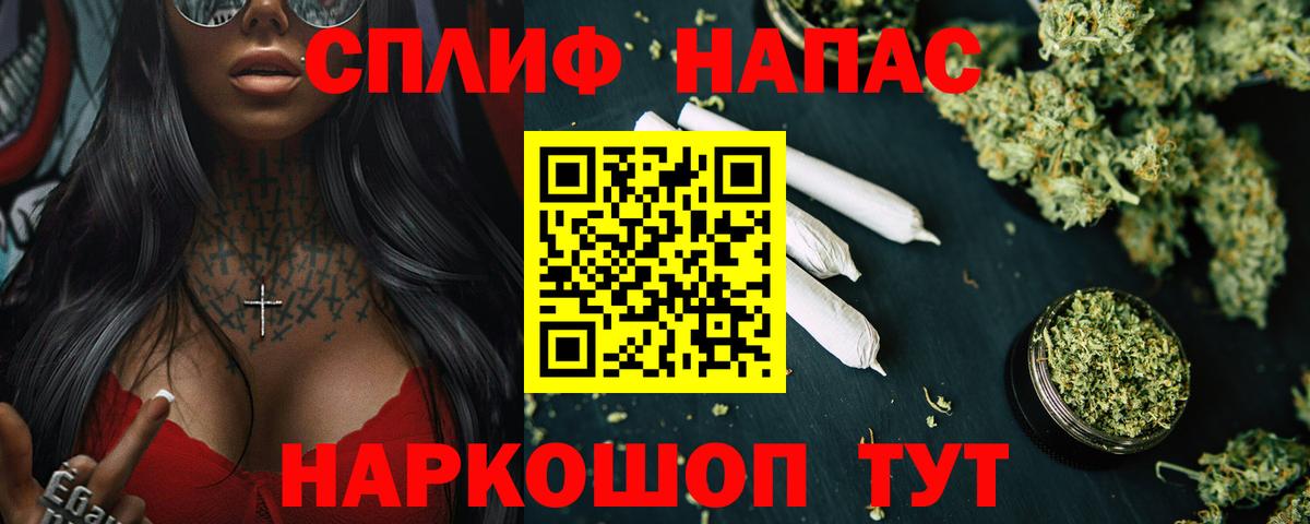 Конопля гибрид Протвино